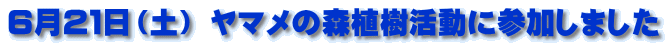 �U���Q�P���i�y�j ���}���̐X�A�������ɎQ�����܂���